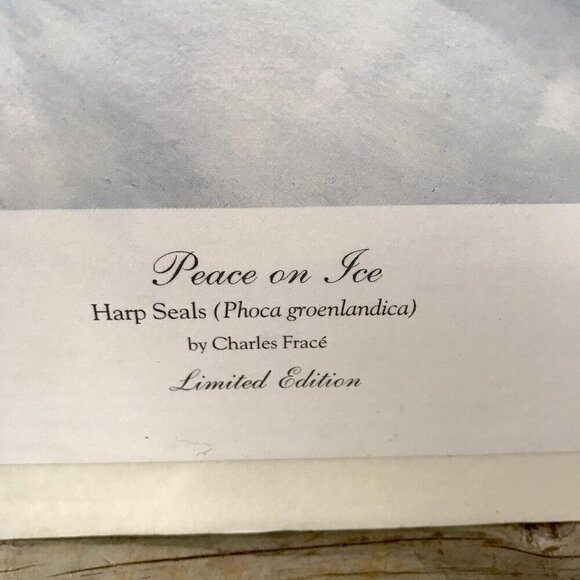 Charles Frace "Peace on Ice" Hand Signed & Numbered Print Autographed Harp Seals - Picture 5 of 11